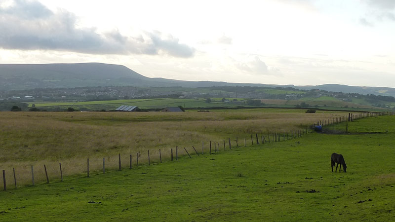 Pony and Pendle